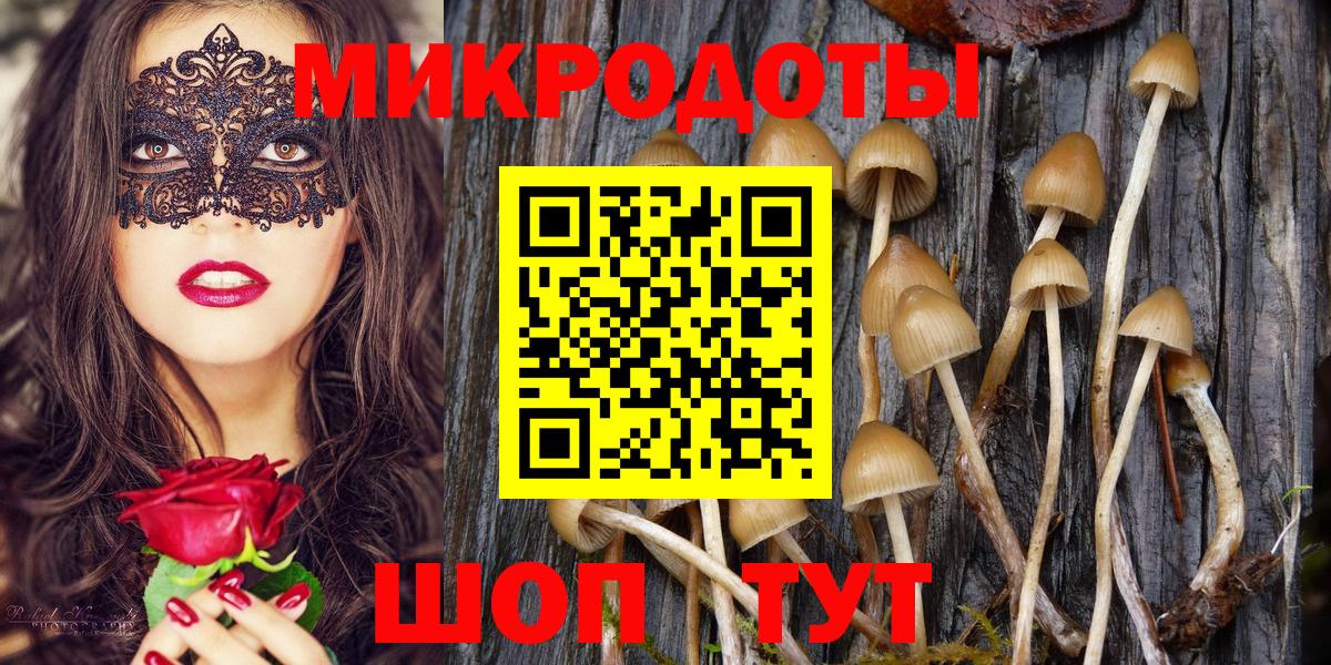 Галлюциногенные грибы MAGIC MUSHROOMS Россия